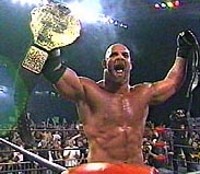 Goldberg Holding Belt